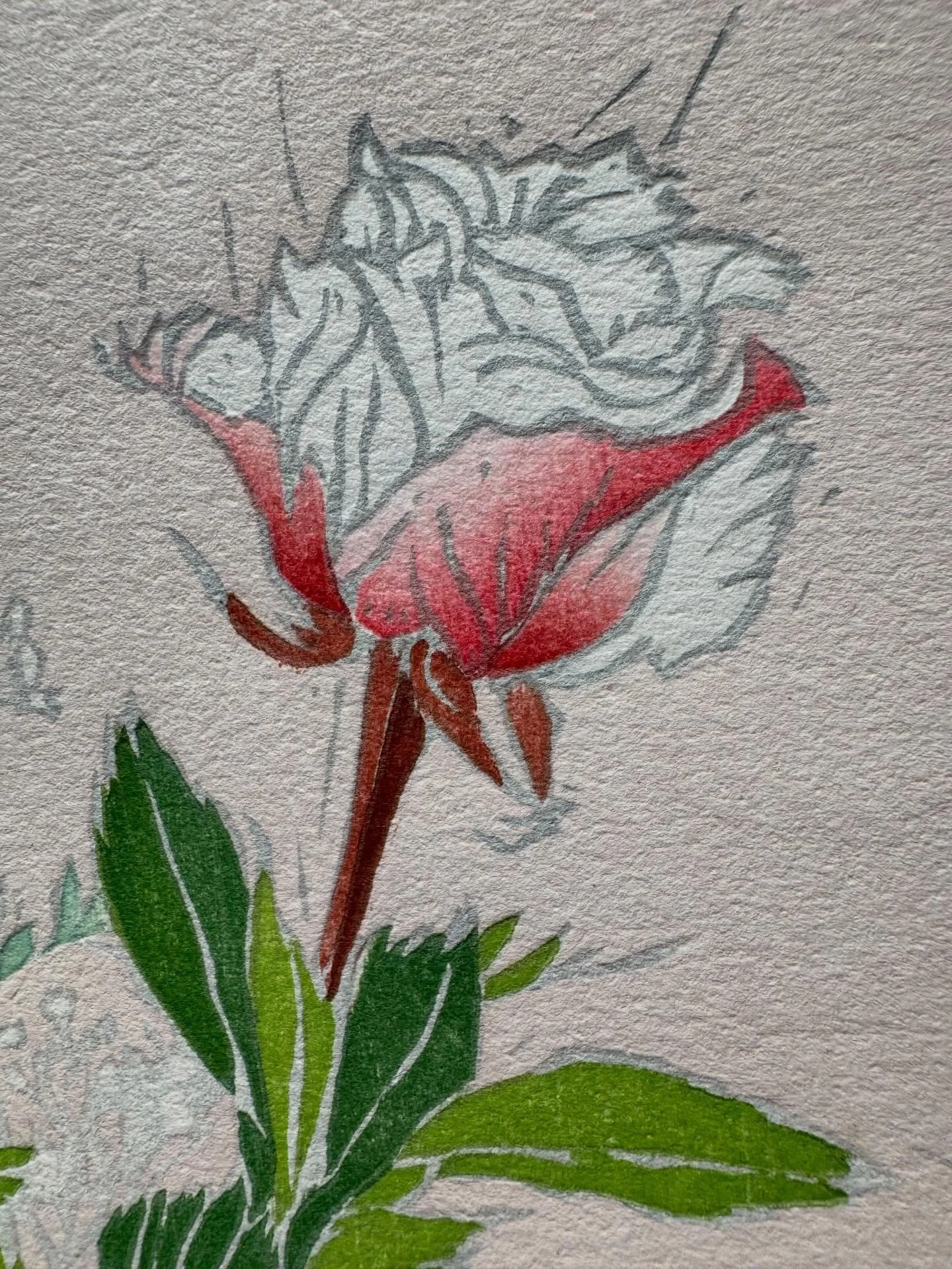 I am building a rose one petal gradation at a time. Every single thing we make is but an approximation.