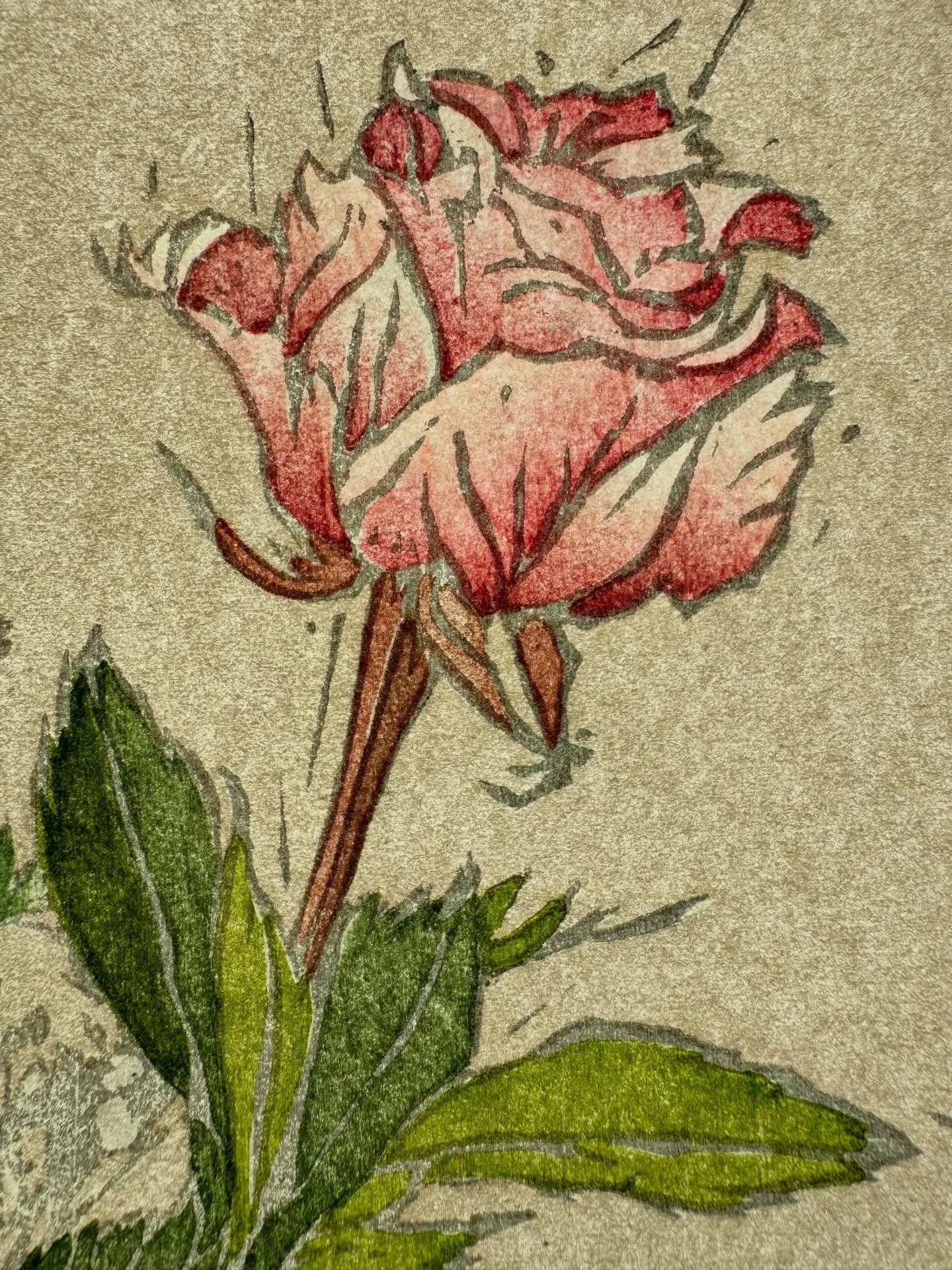 Woodcut rose in the making illuminated with sunlight from behind.