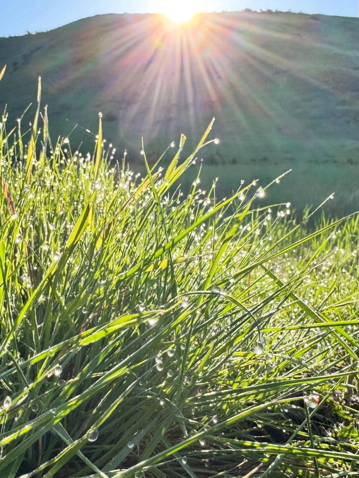 Good morning! Sunlight through water. Inspiration to make art!