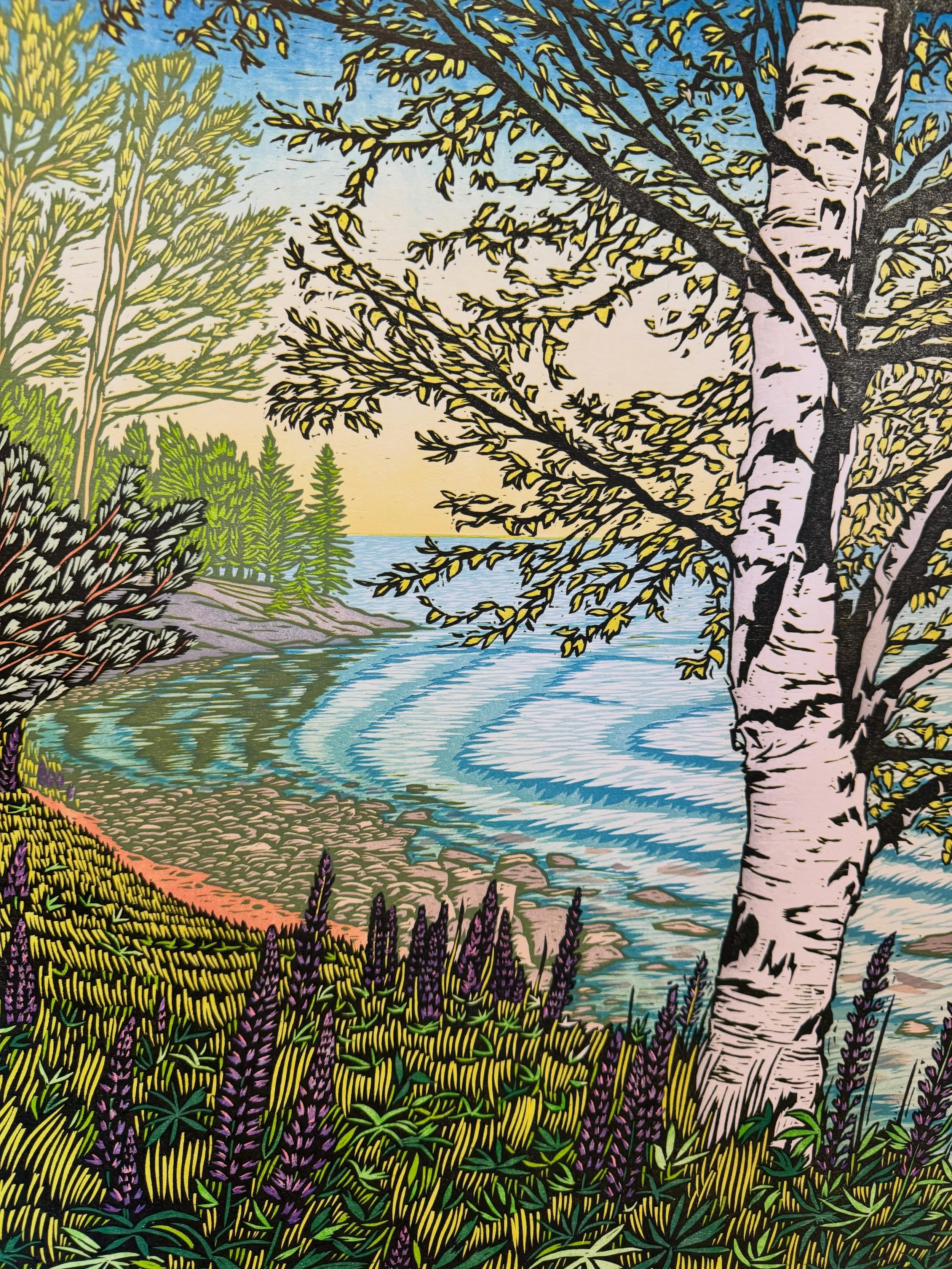 &ldquo;Seeks to be Admired,&rdquo; reduction woodcut. Admiring nature on a daily basis?