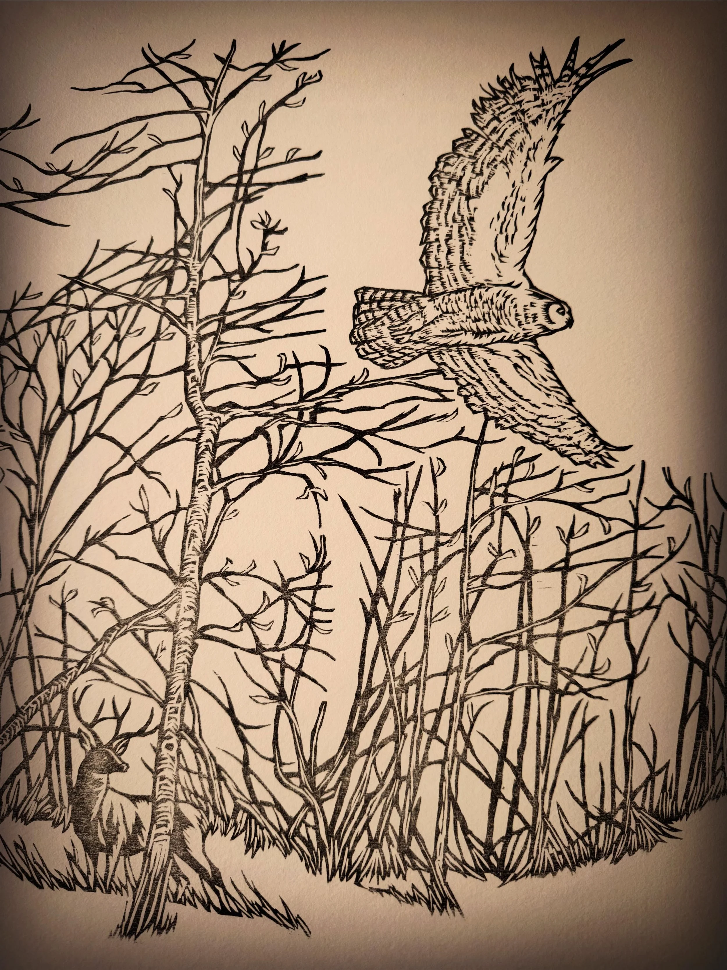 The key block in woodblock printmaking is the block that keeps everything in order. It is the template to the structure, the container of the colors. Here is just the black outline from my woodcut that was used for the cover of the children&rsquo;s b