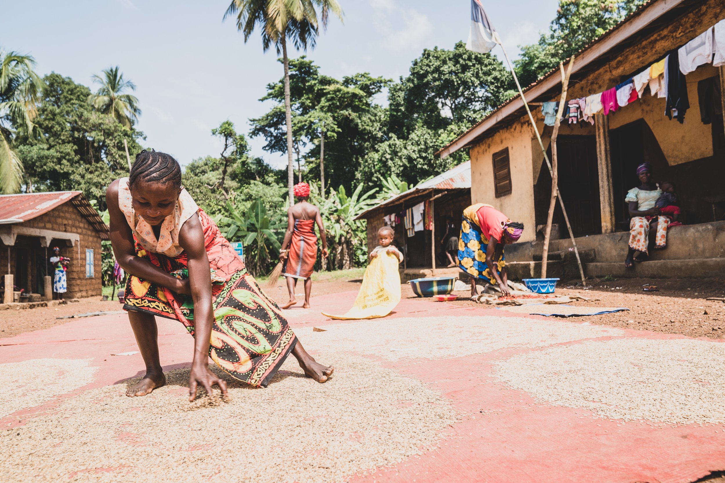 The Mathaska Agricultural Project