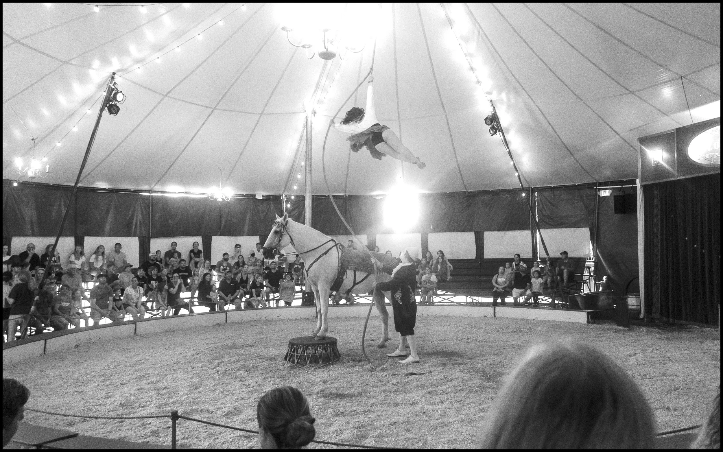 Circus Swing.jpg