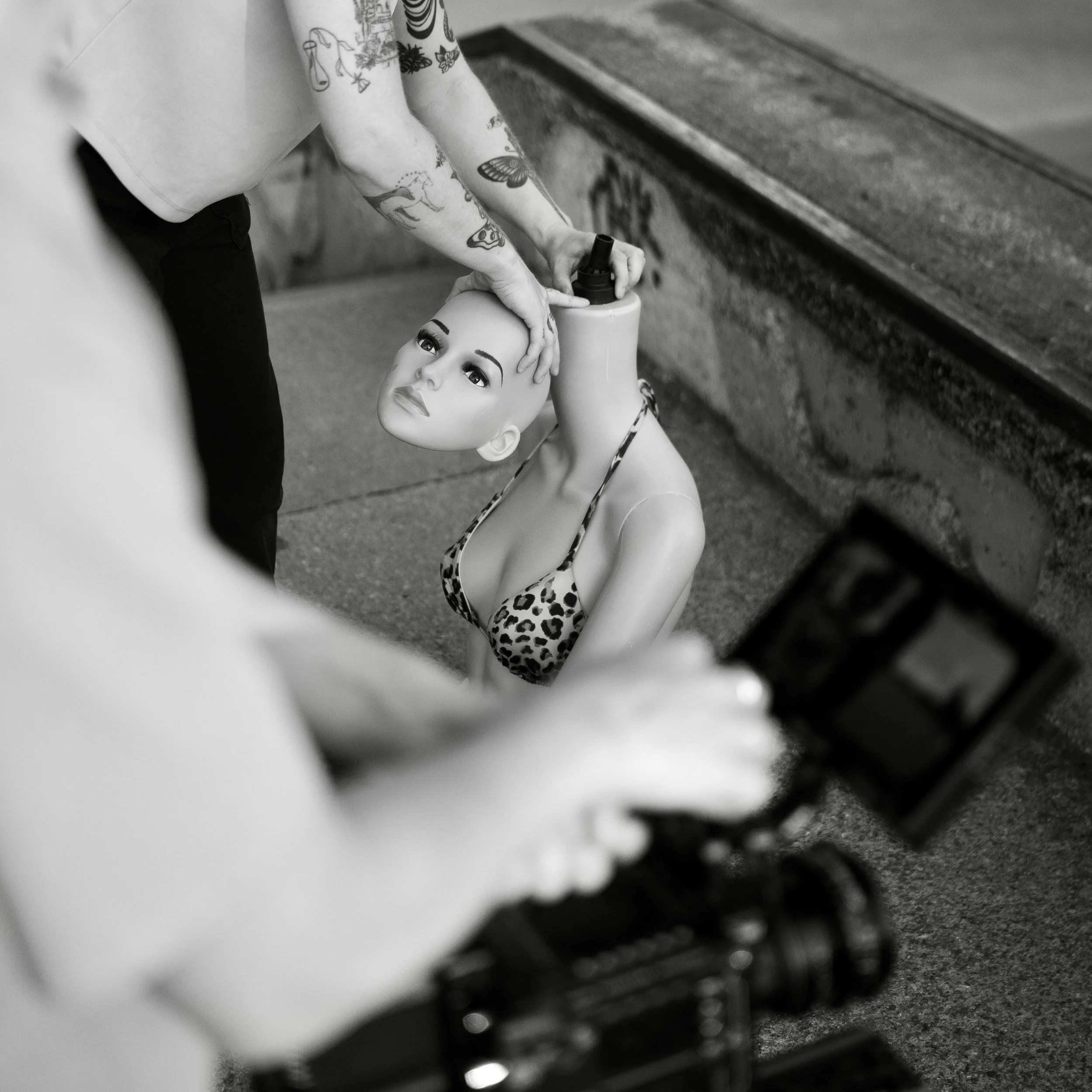 Photographs