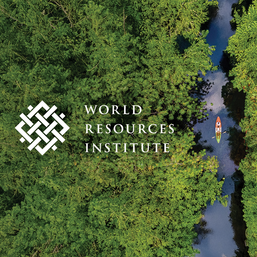 World Resources Institute article on Natural Asset Companies (NACs)