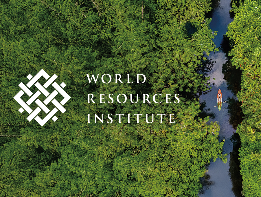 World Resources Institute article on Natural Asset Companies (NACs)