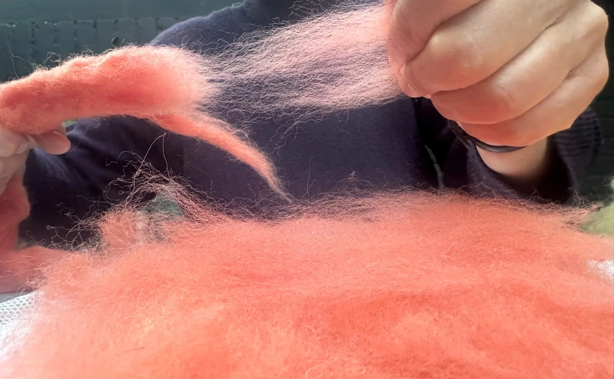 Pulling madder dyed wool to lay out.JPG