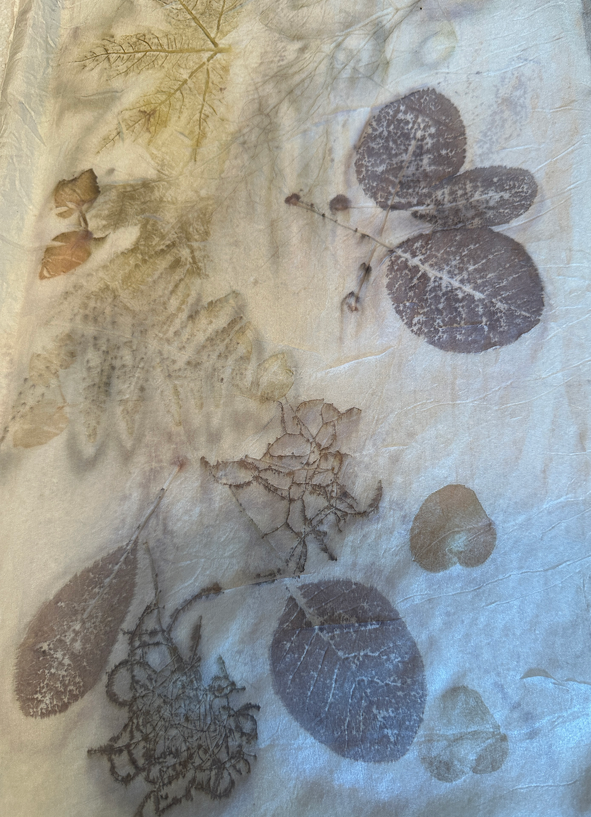 Ecoprint on silk smaller 1.png