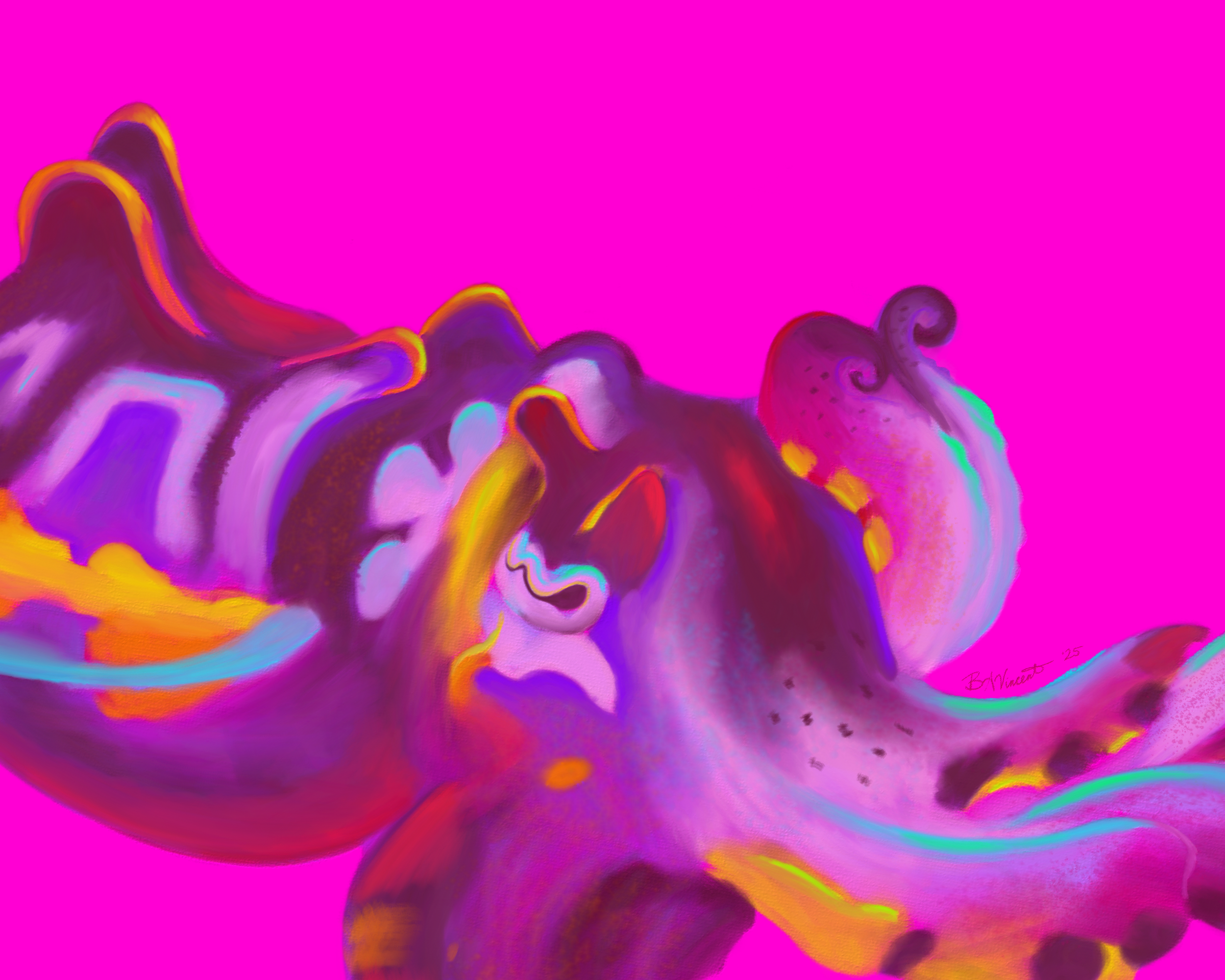 flamboyant_cuttlefish_pink_close-01.png