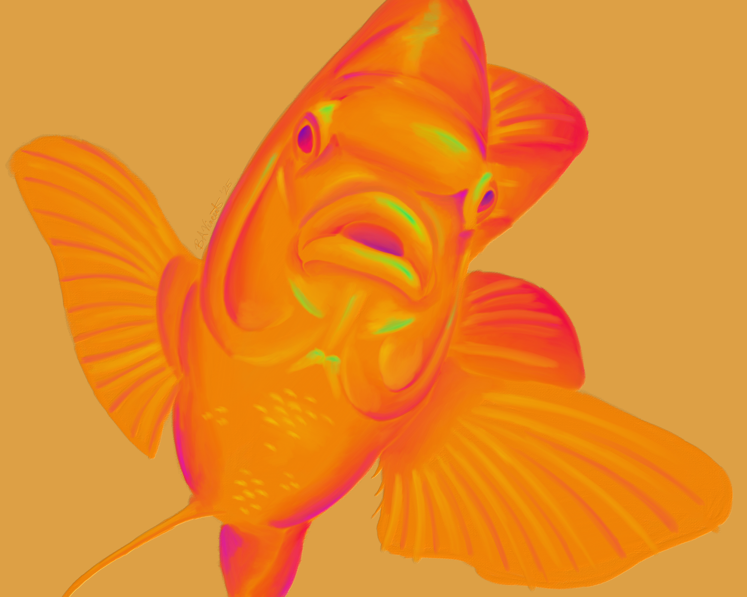 Garibaldi_yellow.png