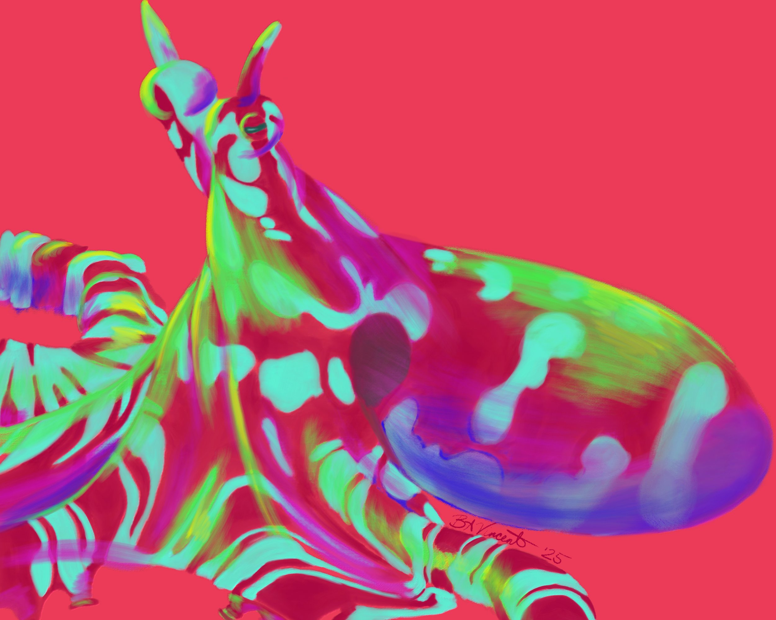 Wonderpus_coral.jpg