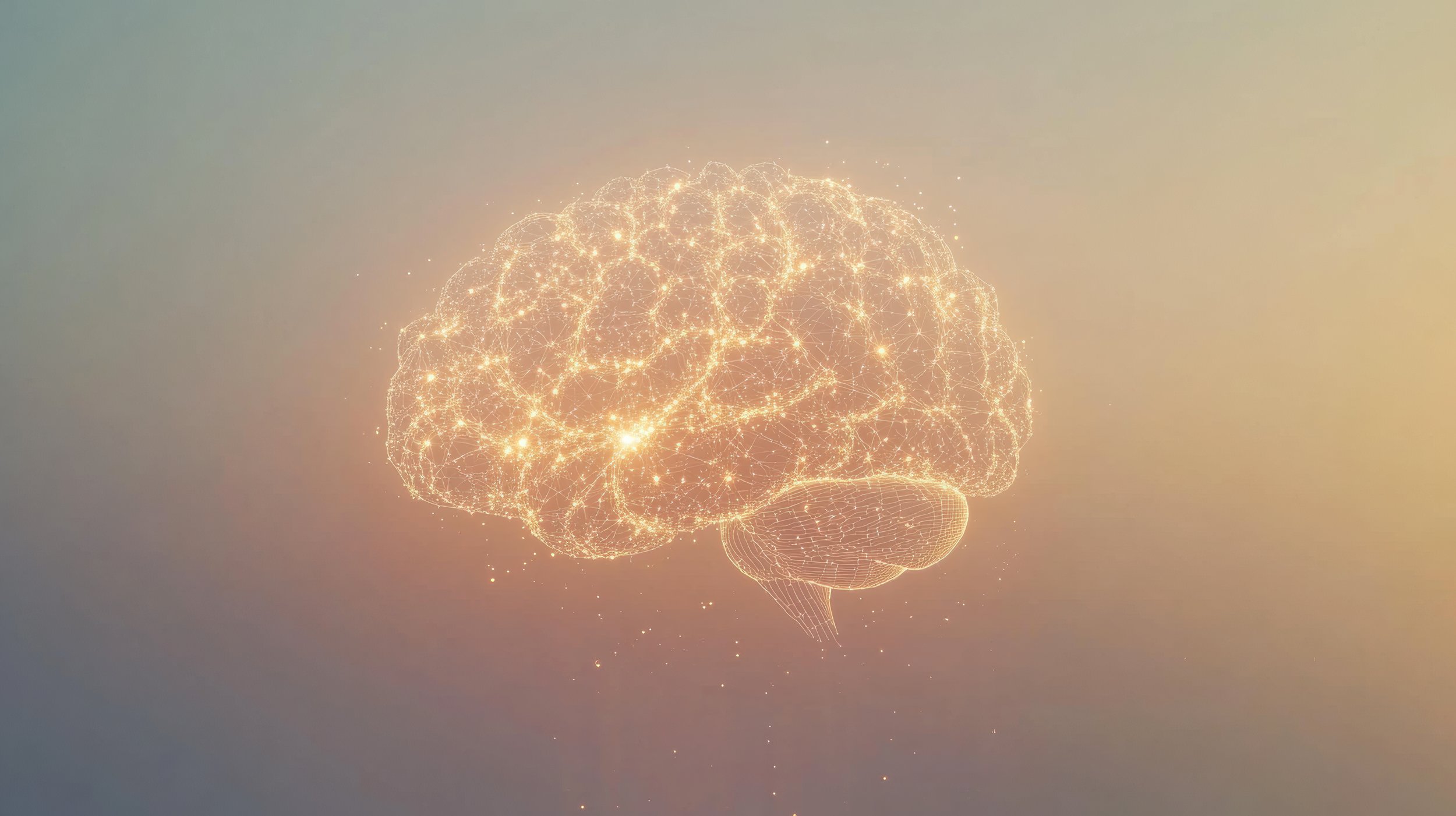 Can We ‘Rewire’ Our Brain? The Science of Neuroplasticity