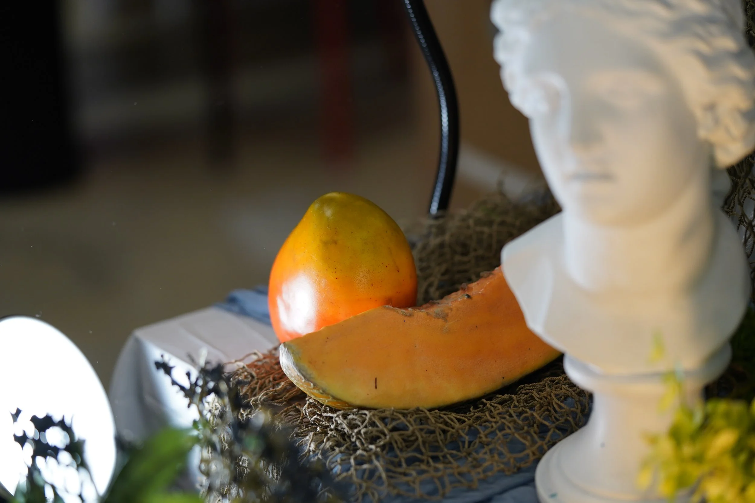 Summer Camp Diaries: Adventure Awaits!