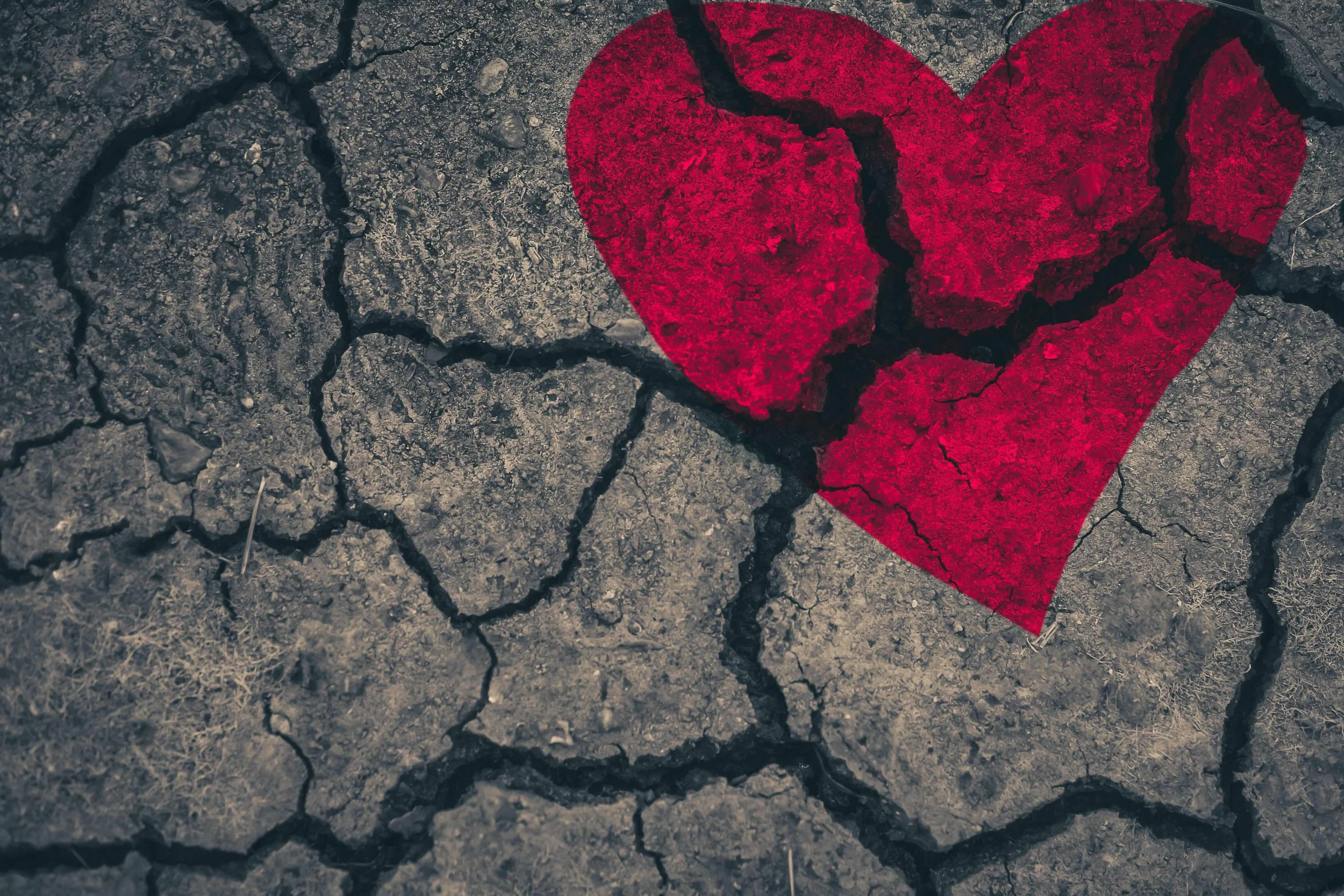 Shadows of the Heart