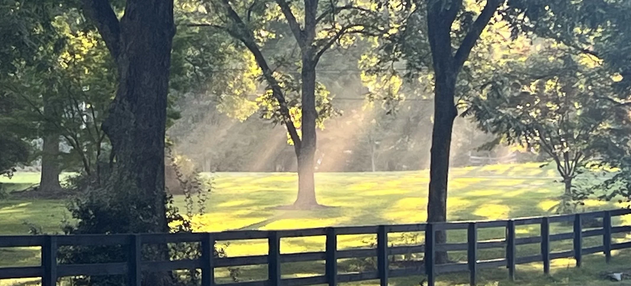 Dust and Light