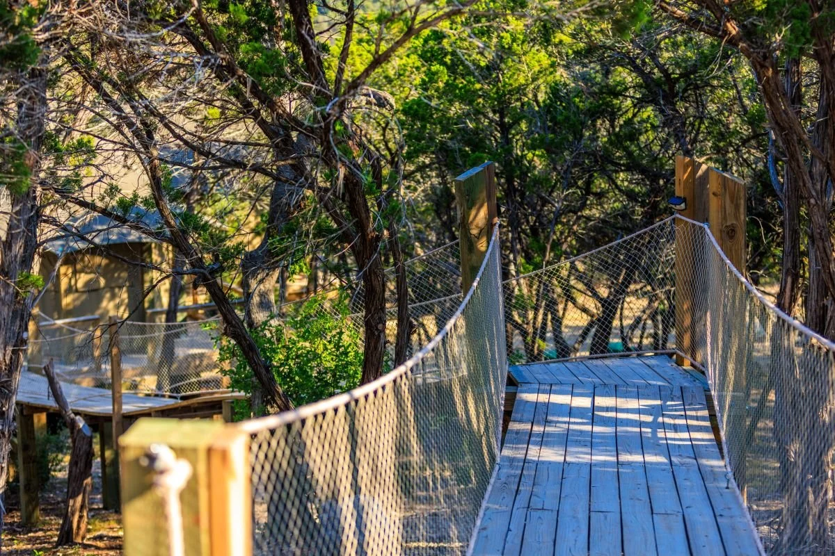 Wooden pathway with safety netting on each side, leading through a wooded area with trees and green foliage.