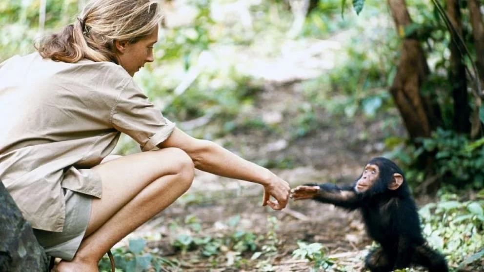 Powerful & Provocative: Jane Goodall, a Life of Purpose and Persistence