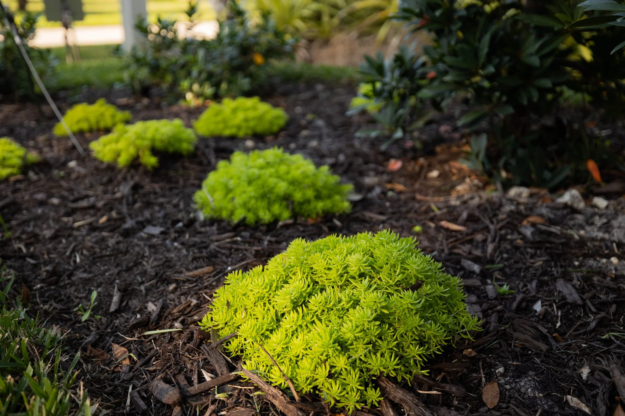 Modern Coastal Estate – Full Outdoor Build