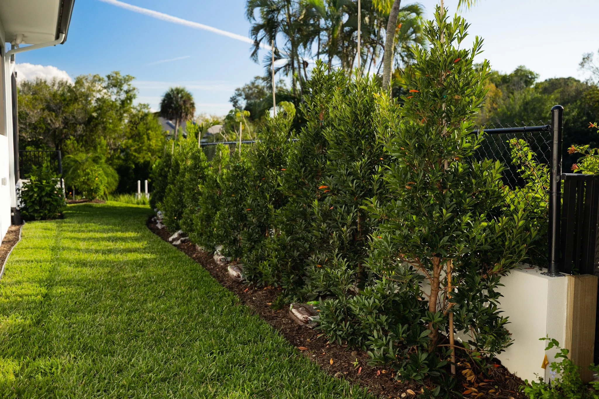 Modern Coastal Estate – Full Outdoor Build