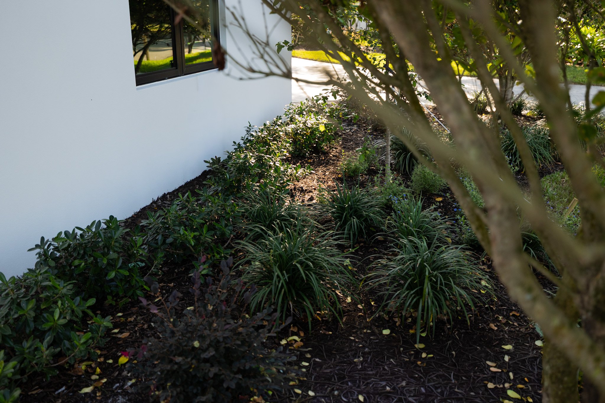 Modern Coastal Estate – Full Outdoor Build