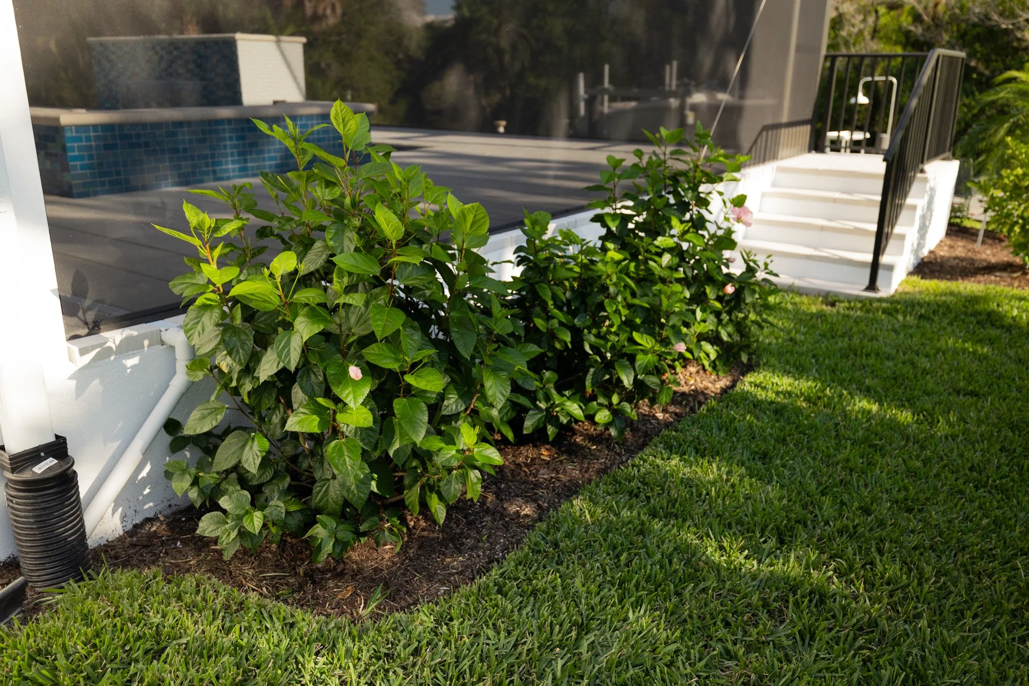 Modern Coastal Estate – Full Outdoor Build