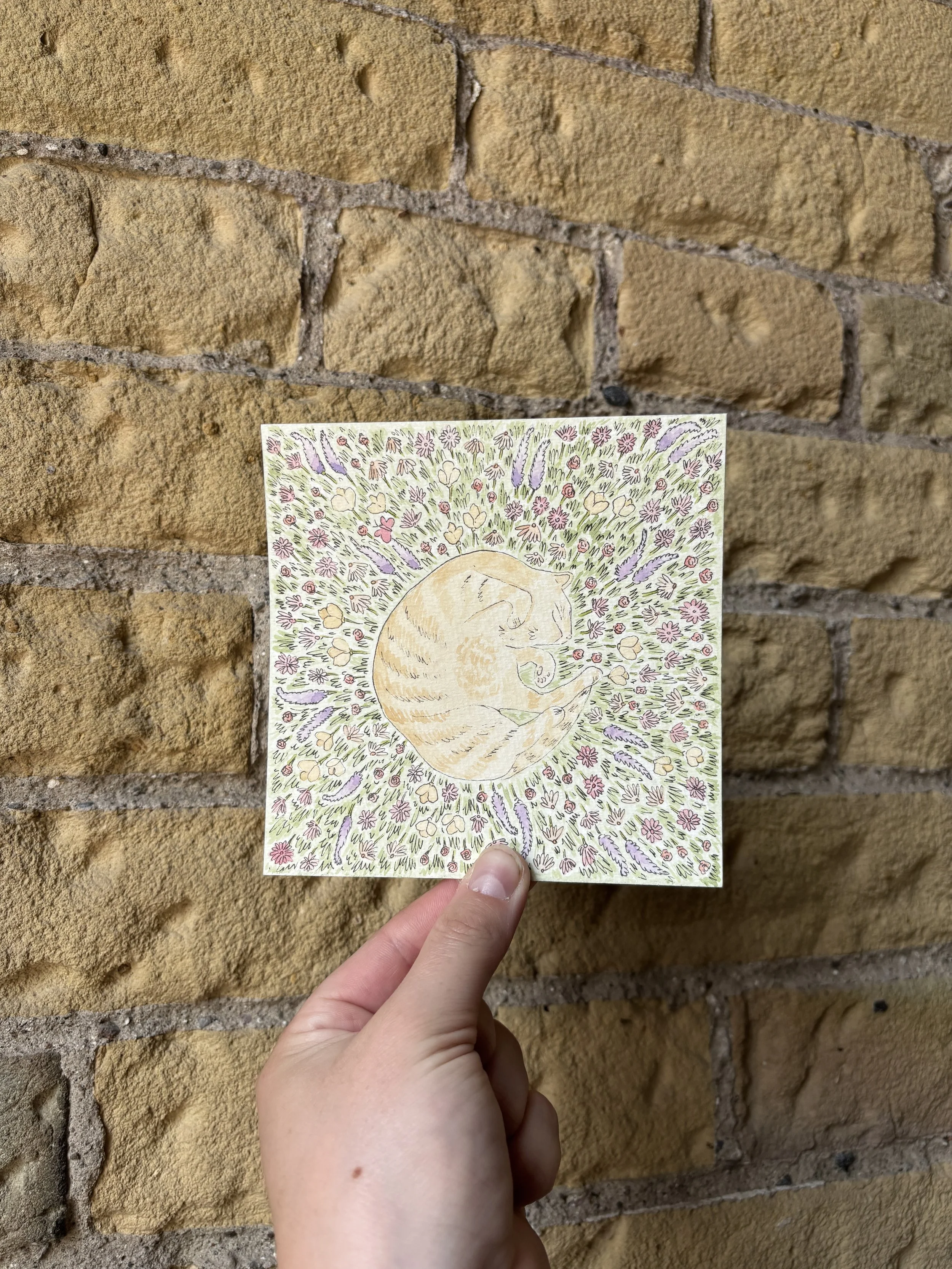 Custom Sleeping Pet Painting