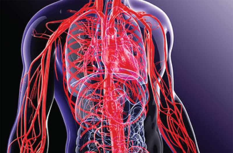 Neural Mobilization 3