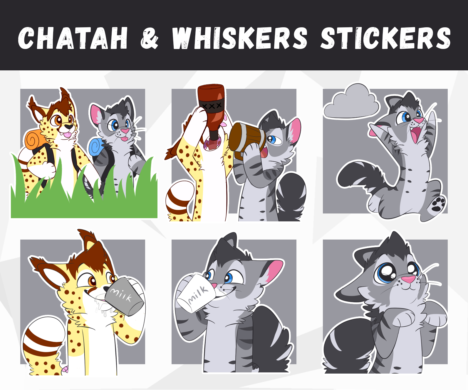 stickerpresentaiton.png