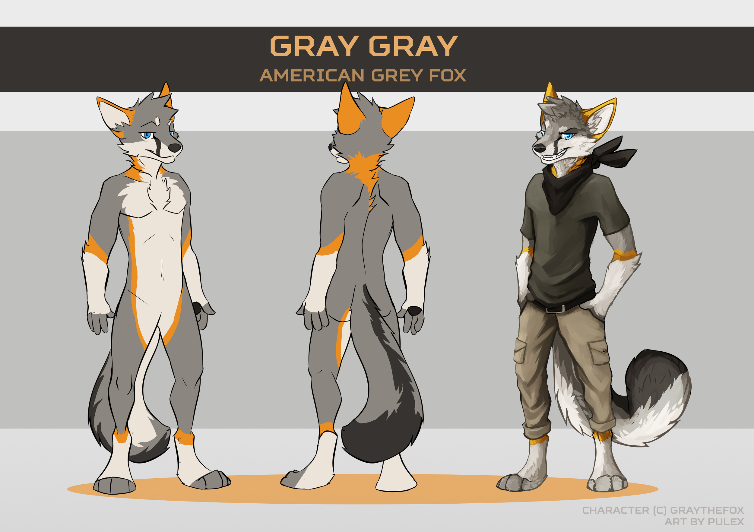 [gray]rs.png
