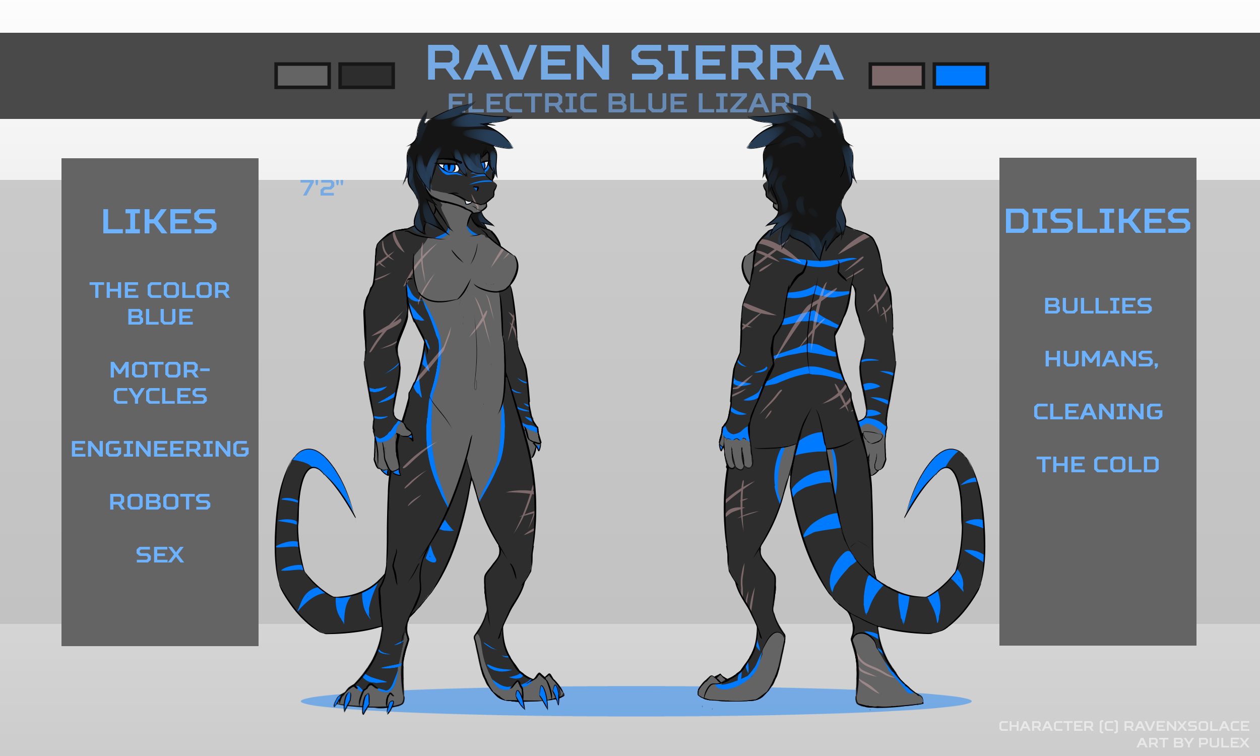 raven.png