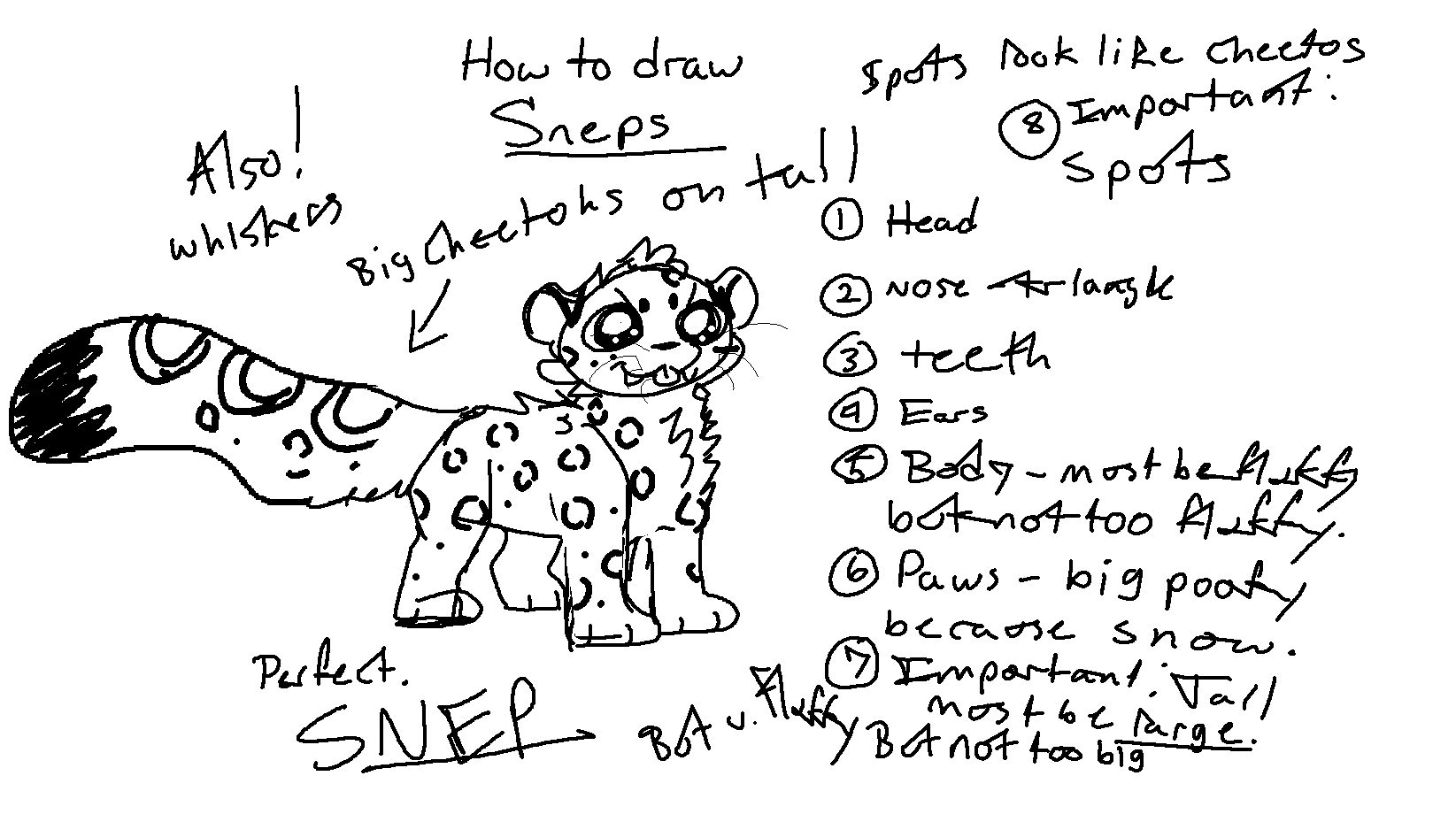 snep.PNG
