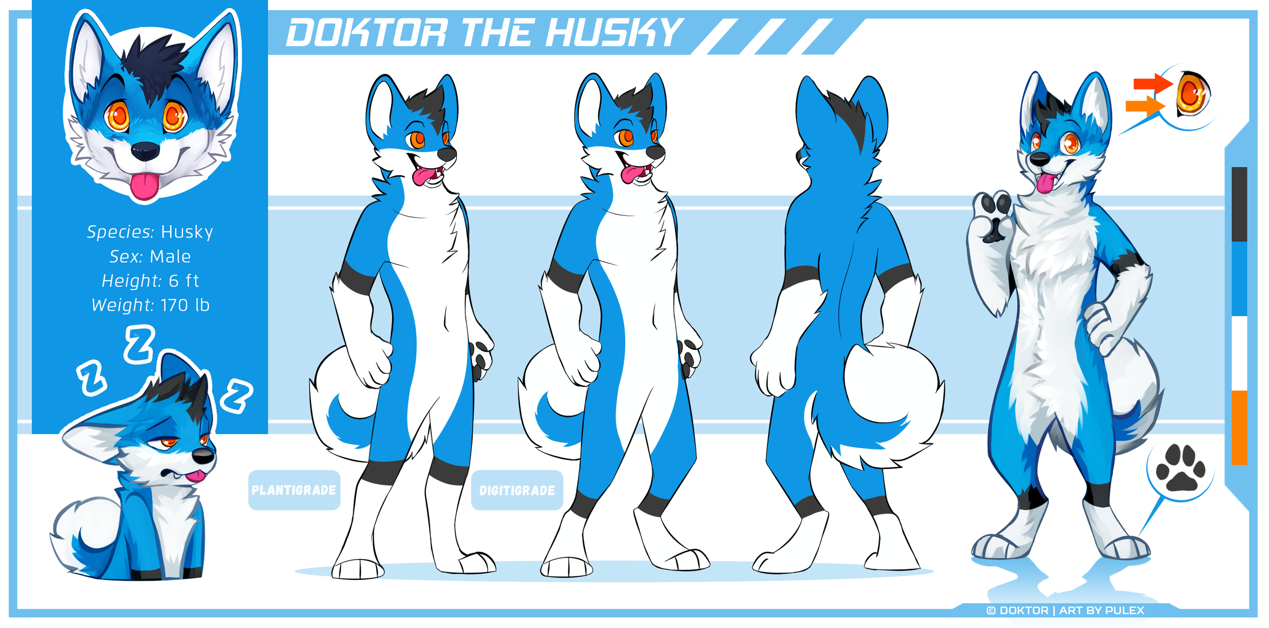 doktor-ref-v4.png