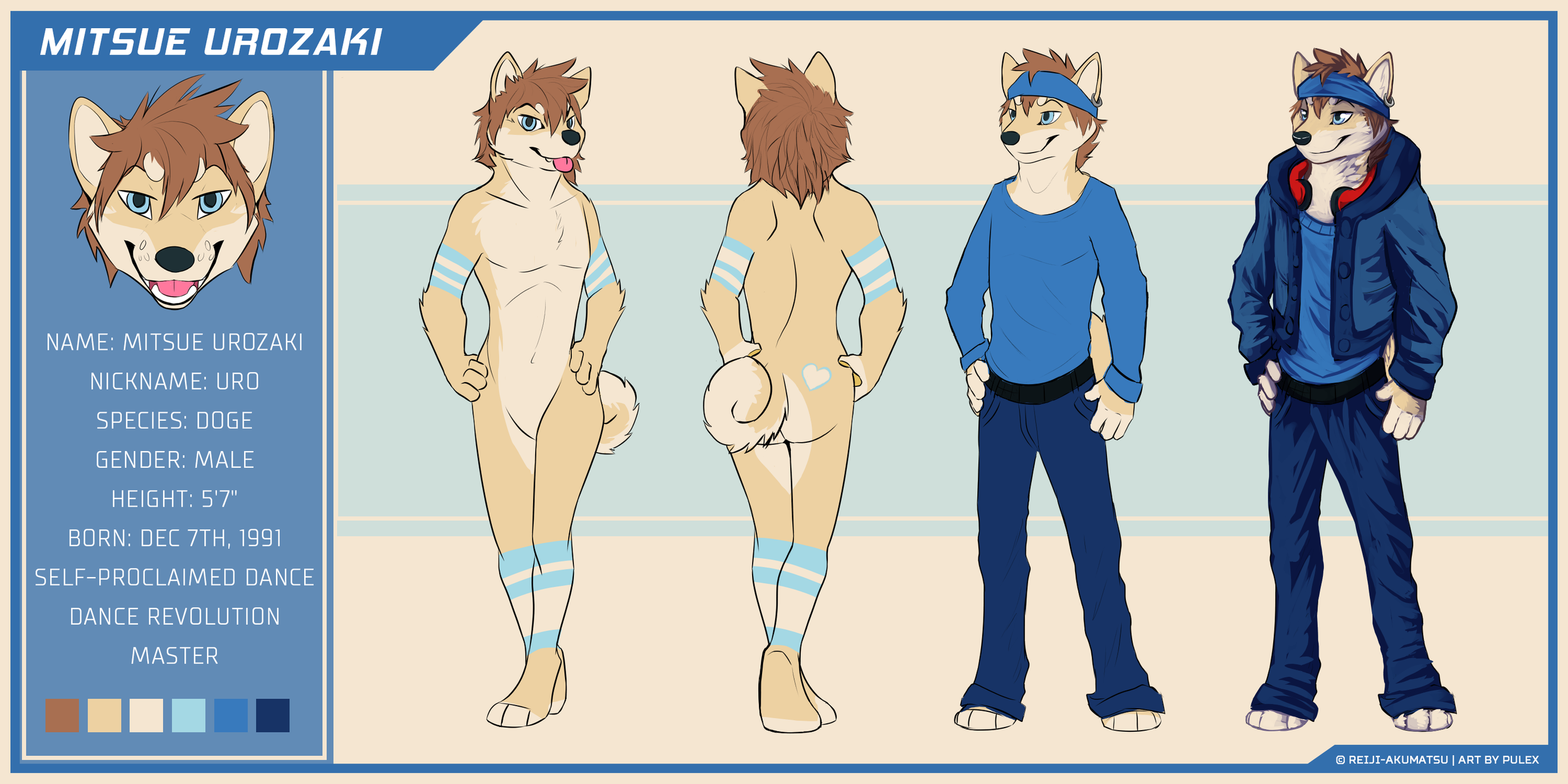 shibe-ref-sheet.png