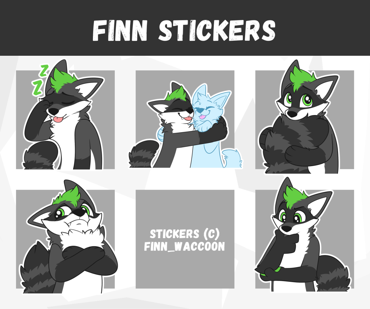 Finn_Waccoon-Finn-Pres-2023-09-11.png