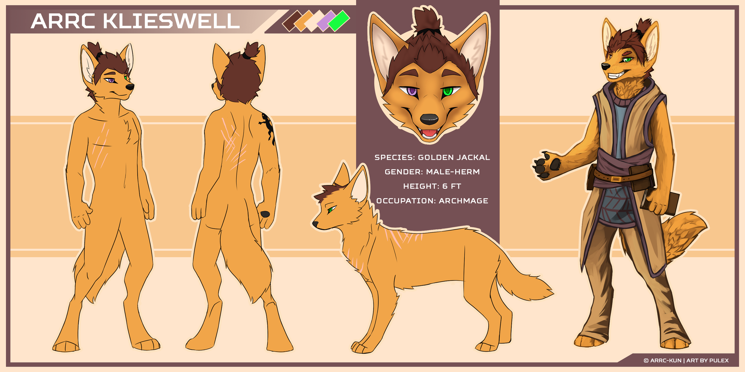 Arrc-kun-ref2000.png