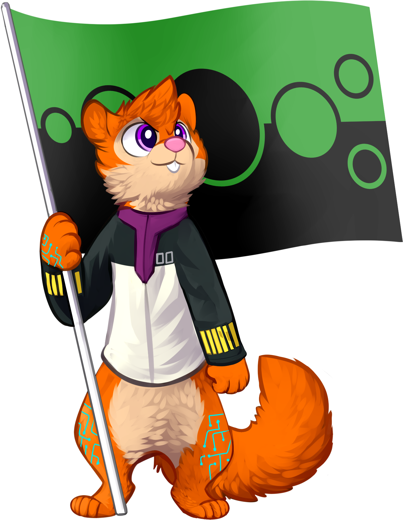 nanoTransparent.png