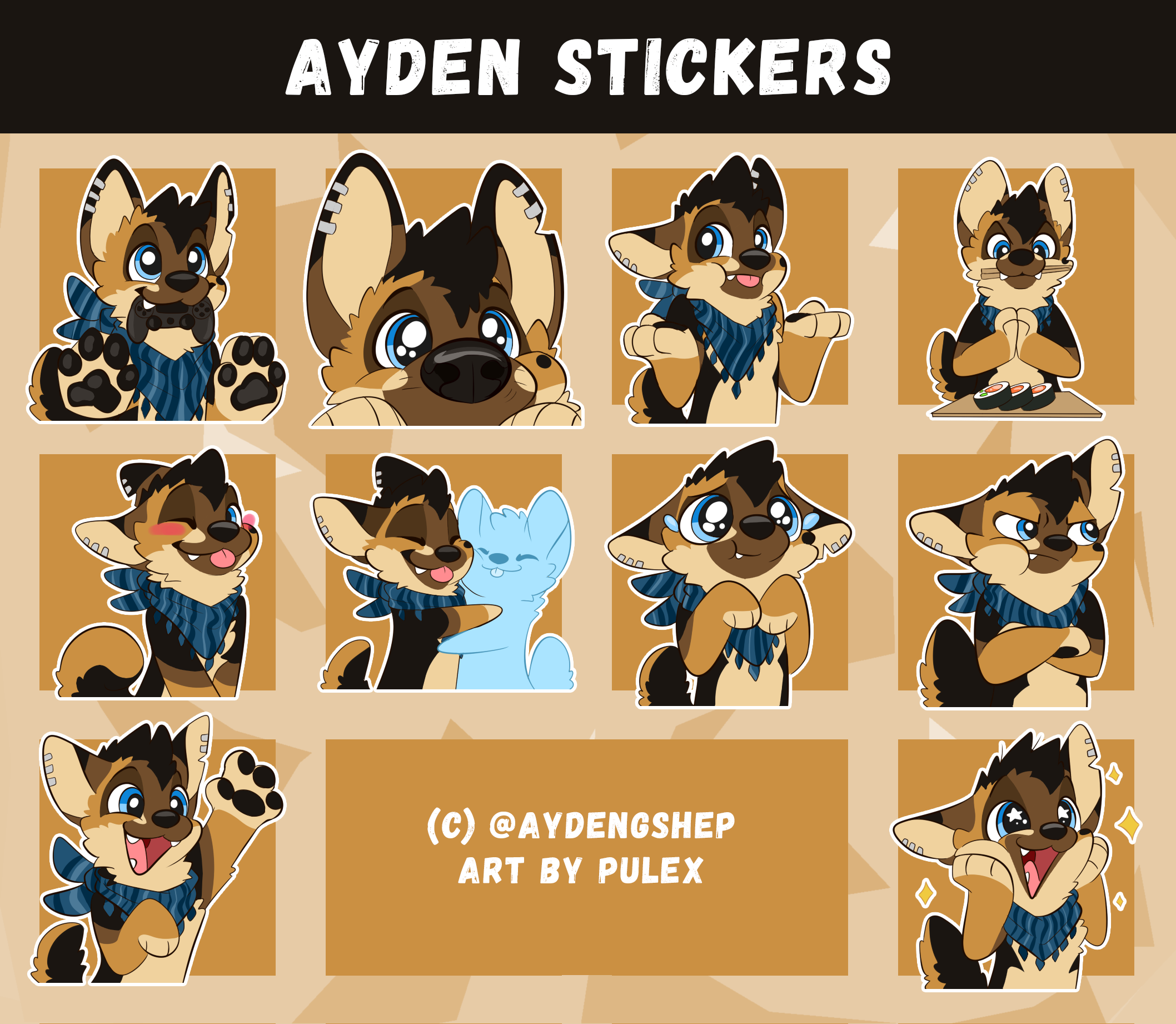 ayden_sticker_presentation.png