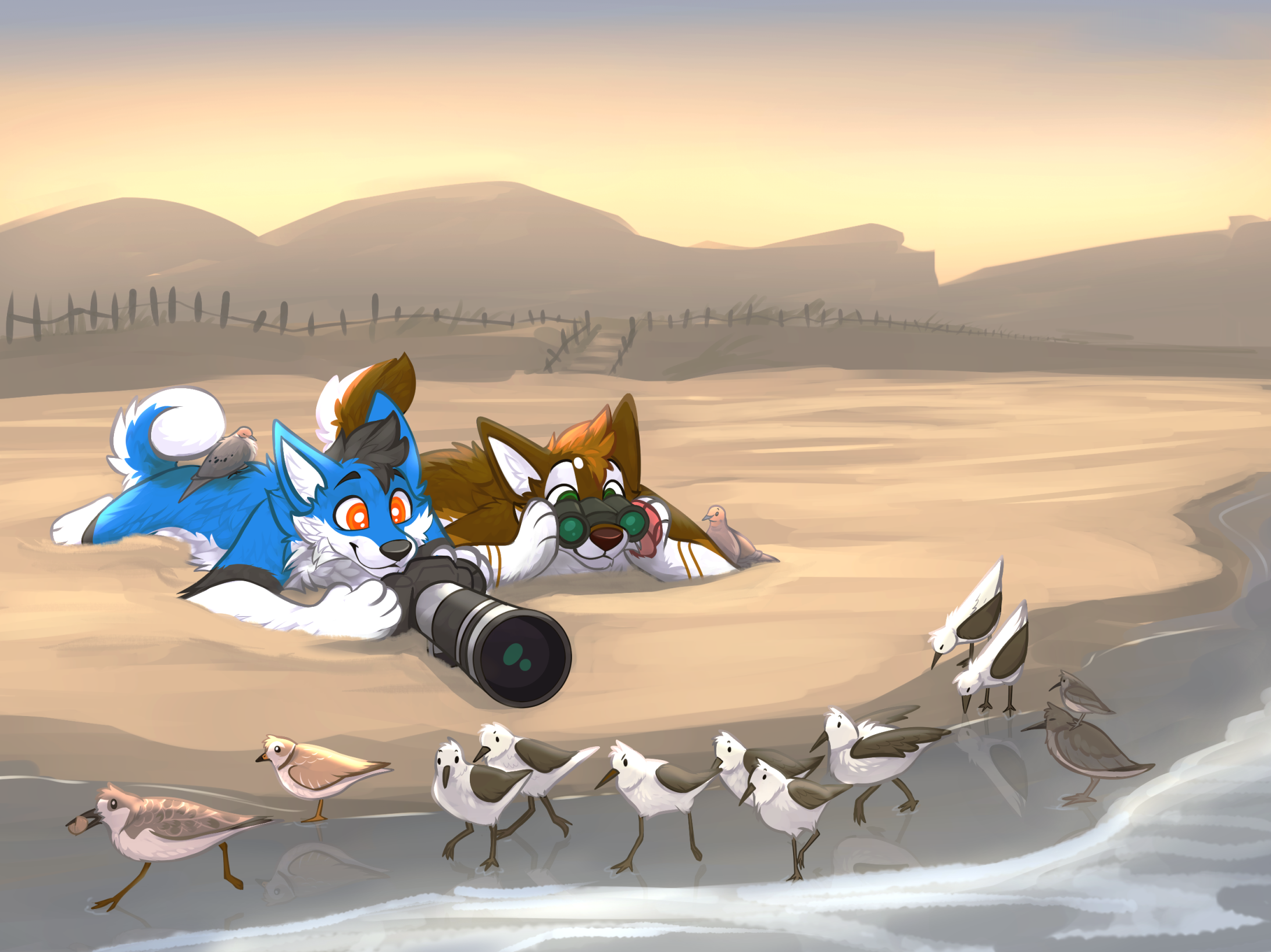 Rezi-drawing-2023-07_compressed.png
