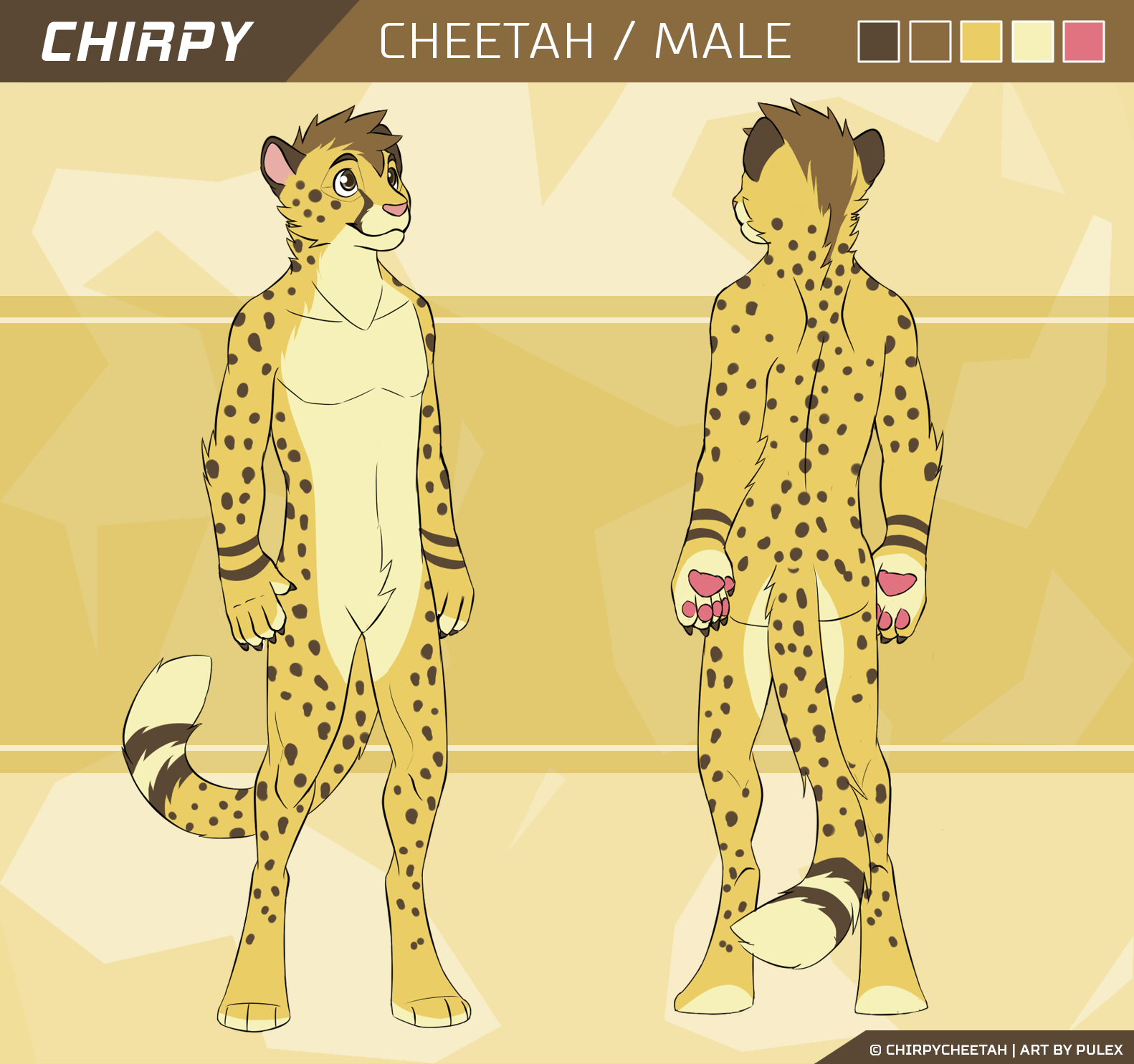 chirpyref.png