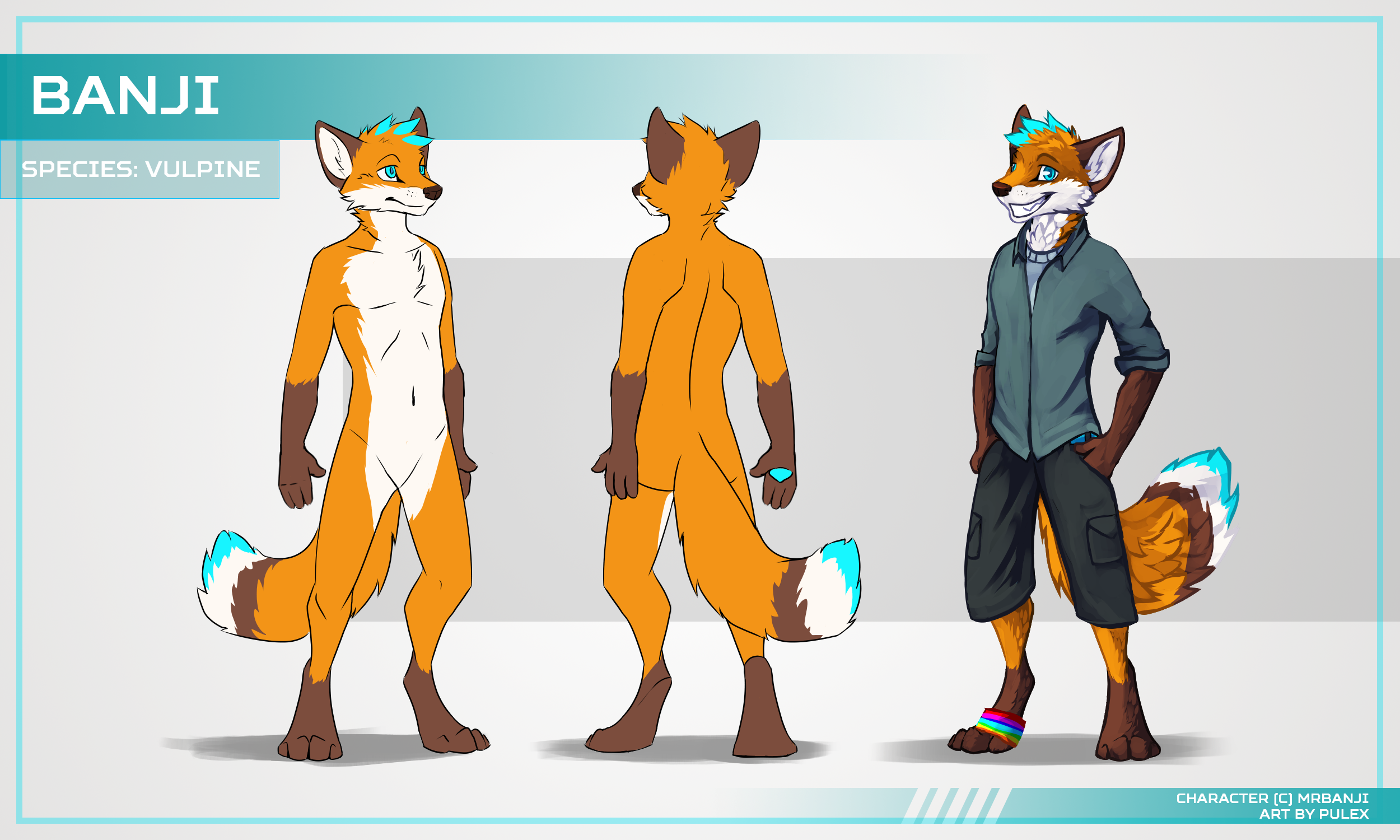 [mrbanji]ref.png