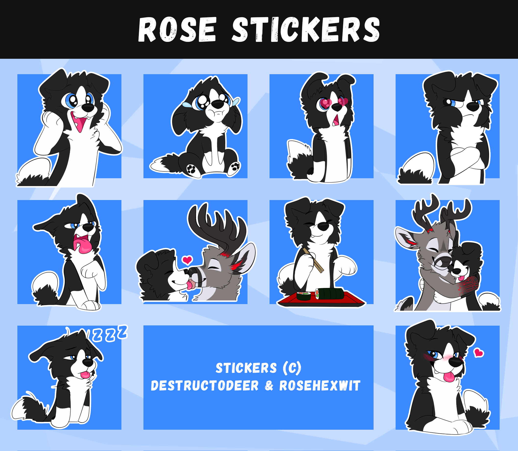 rose-presentation-10.png