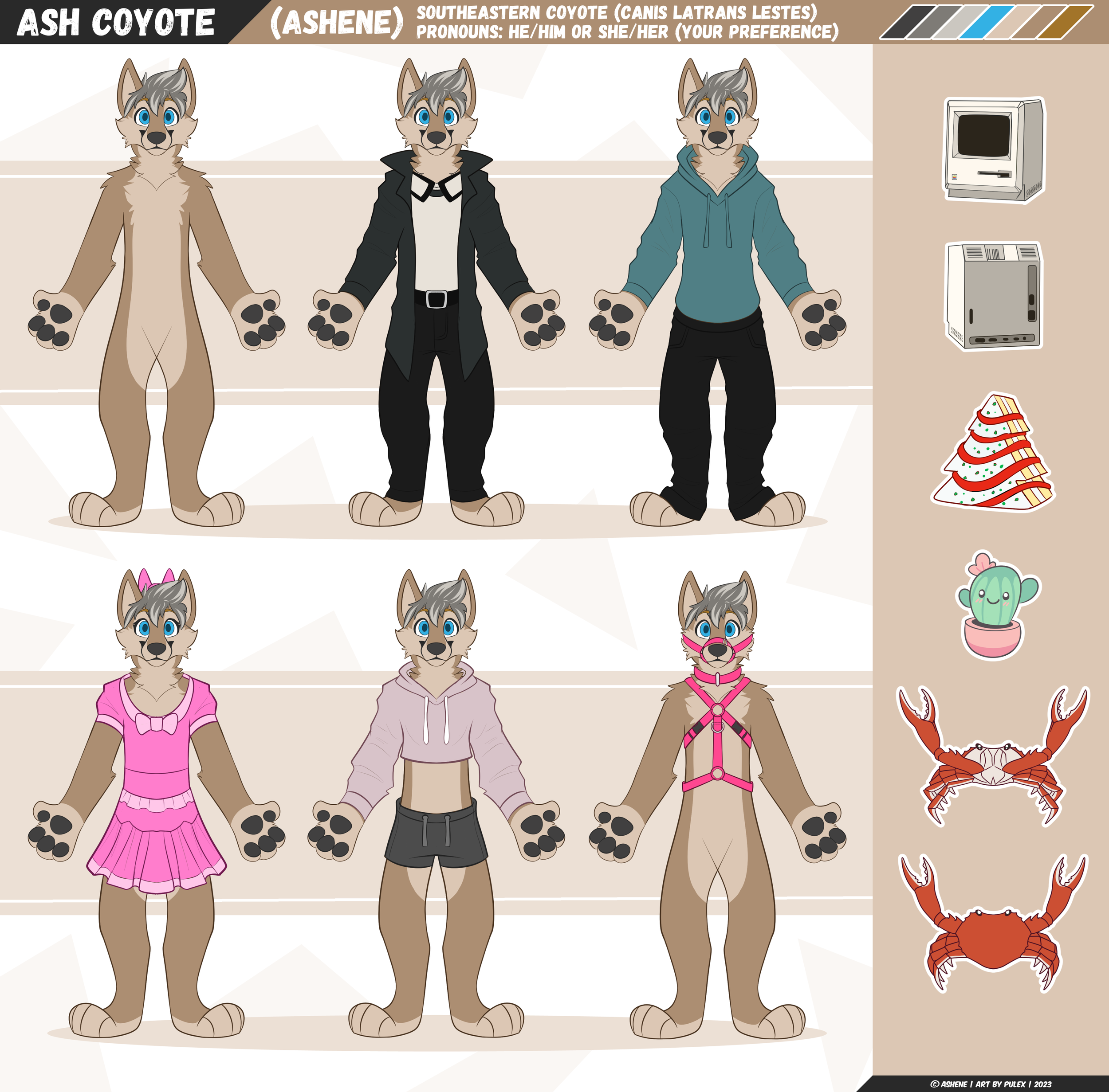 ashene-ash-ref-2023-02-16_compressed.png