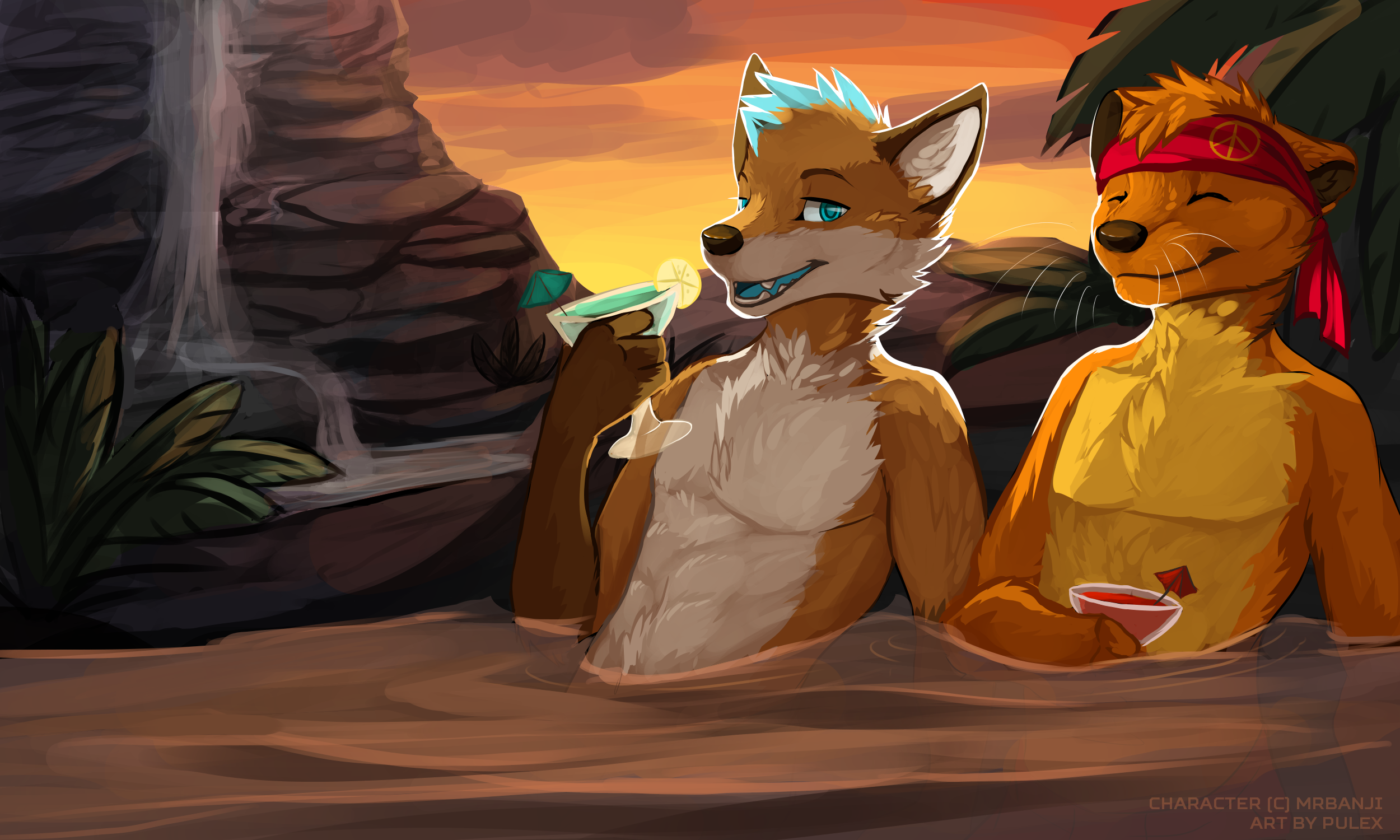 [mrbanji]tropical.png