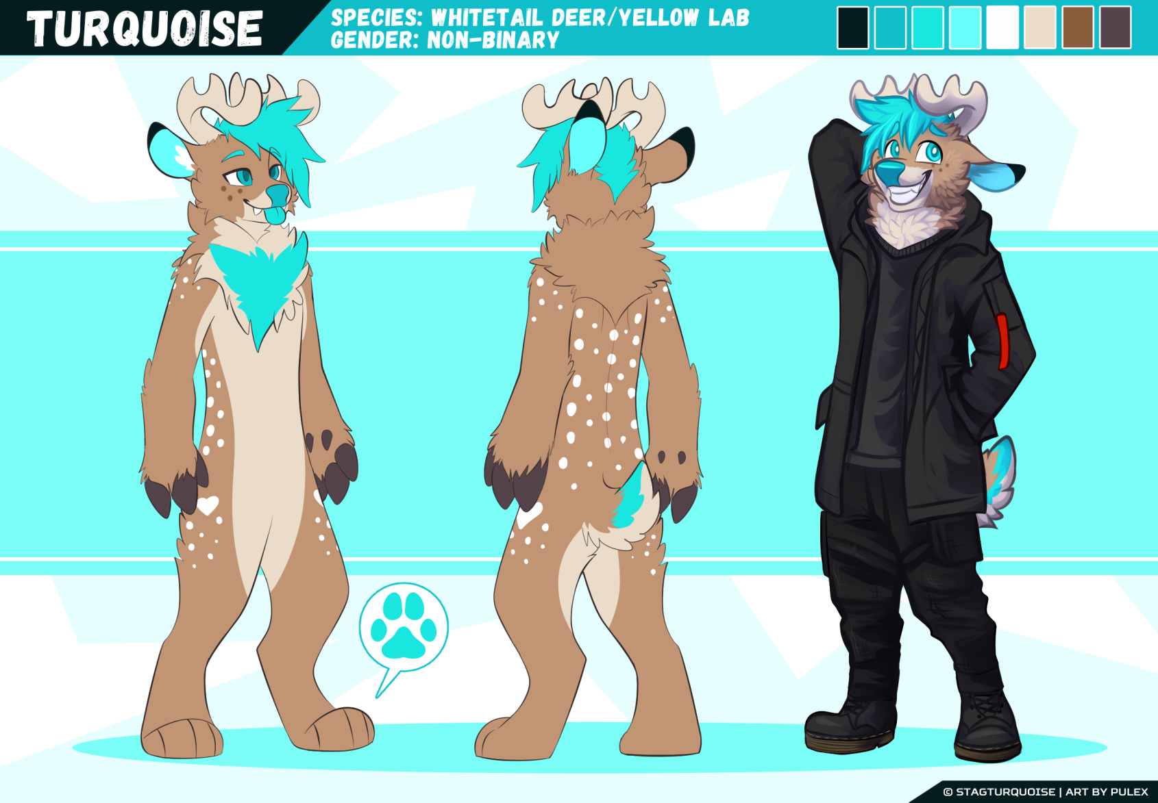 turquoiseRef-lowRes.png