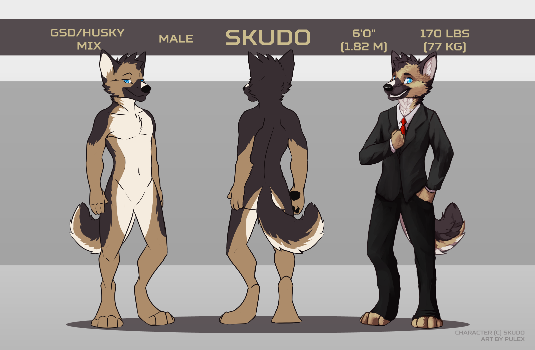 [Skudo]ref.png