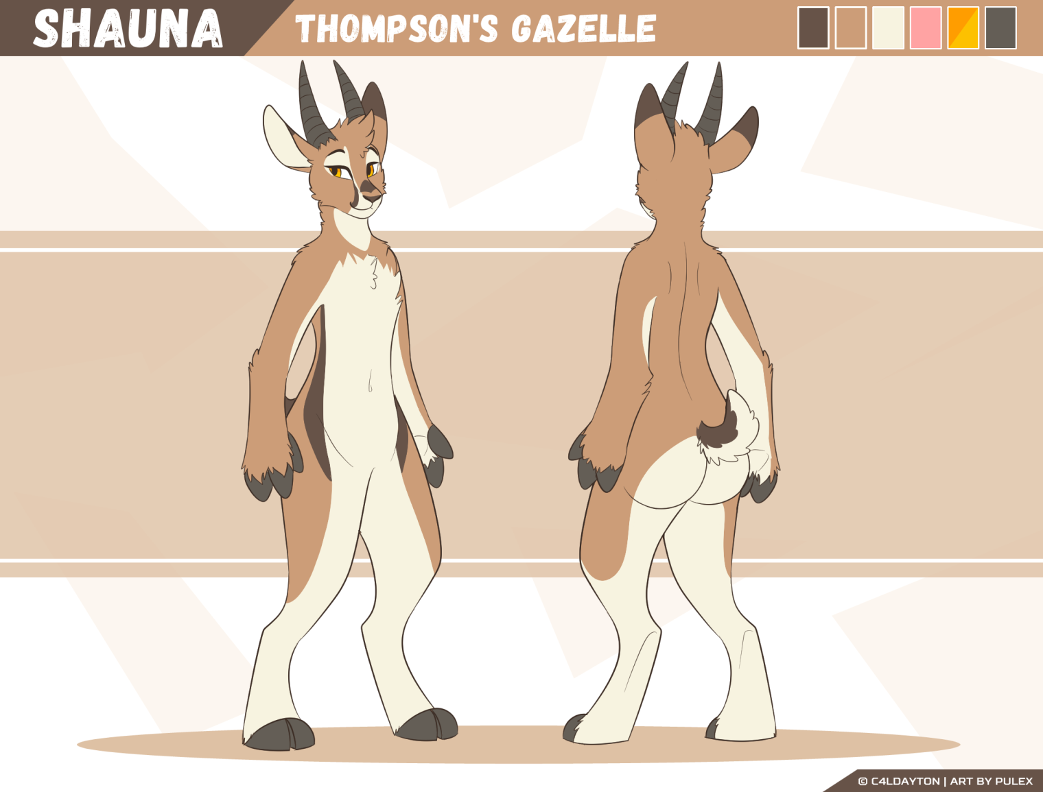 shaunaRef_may21-lowRes.png