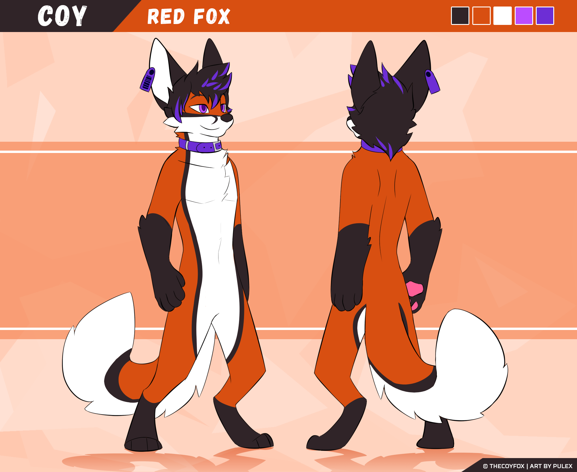 coyRef.png