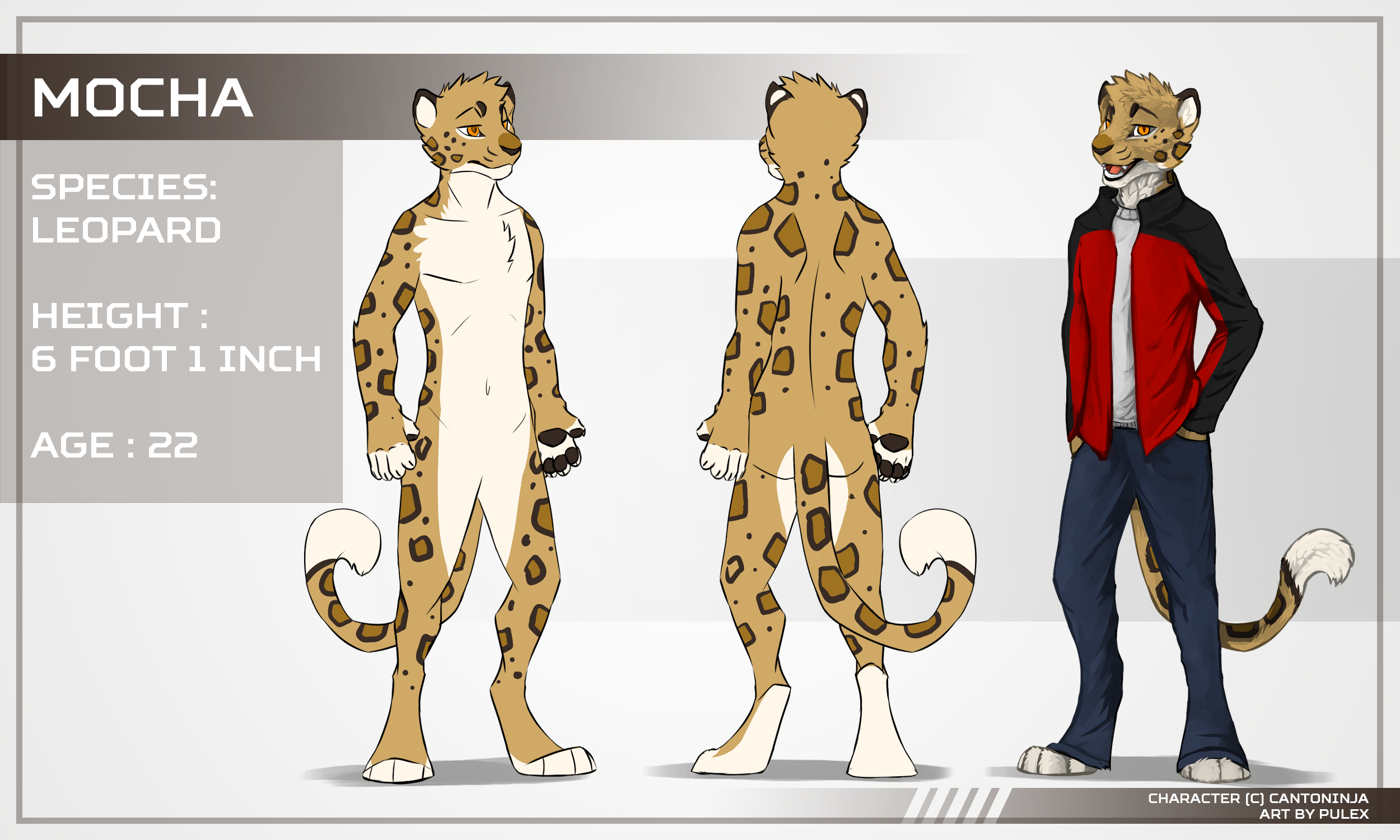 [mocha]ref.png