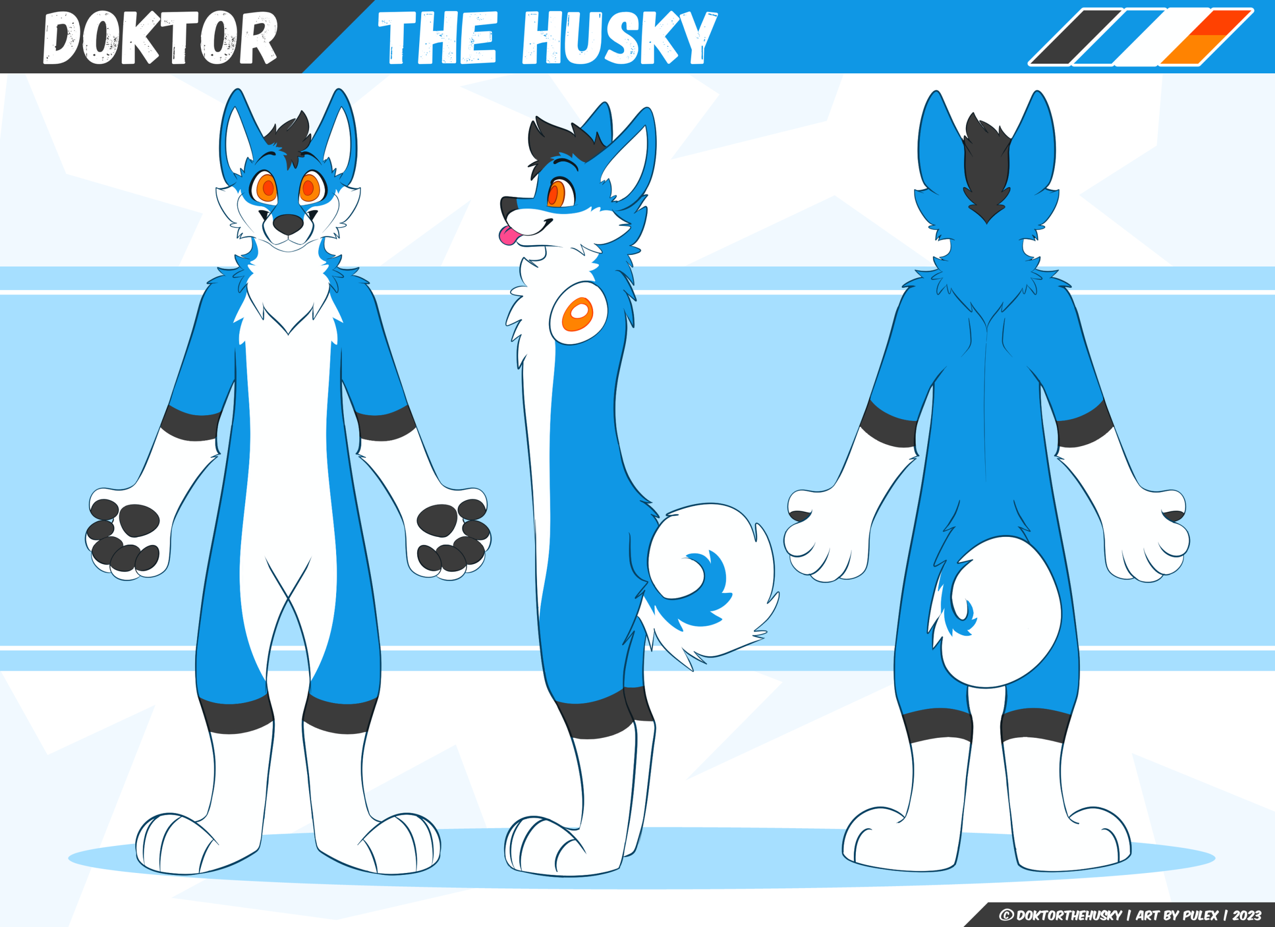 Doktorthehusky-doktor-ref-2023-02-07_compressed.png