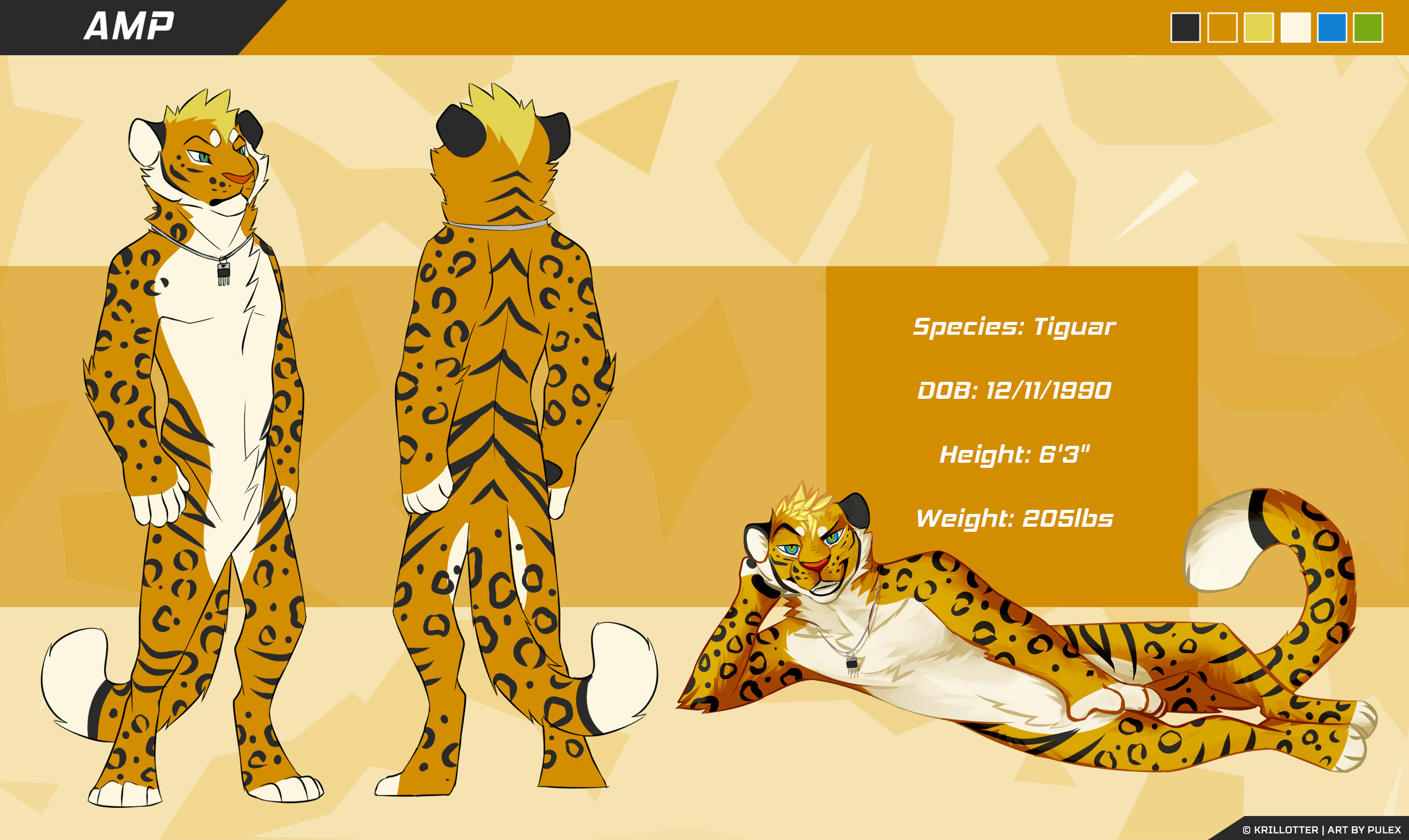 amp-ref.png
